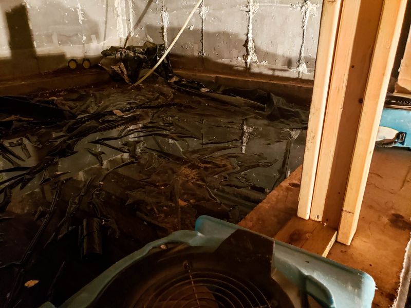 Basement Water Extraction in Gilbert, AZ