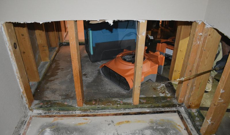 Storm Damage Cleanup in Mesa, AZ