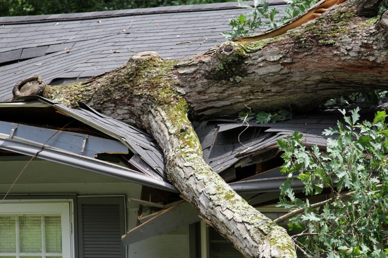 Storm Recovery Service in Phoenix, AZ